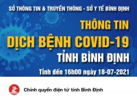 Chính quyền điện tử Bình Định