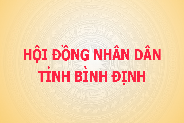 Hội đồng nhân dân tỉnh Bình Định